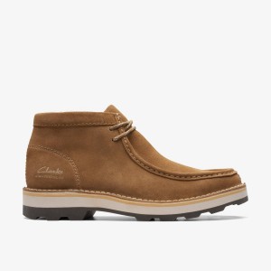 Clarks Corston Wally Waterproof Dark Sand Warmlined Laarzen Heren Donkerbruin | 5869210-CK