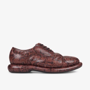 Clarks Martine Rose Mens Oxford 1 Brown Snake Nette Schoenen Heren Bruin Slangenprint | 3804791-MV