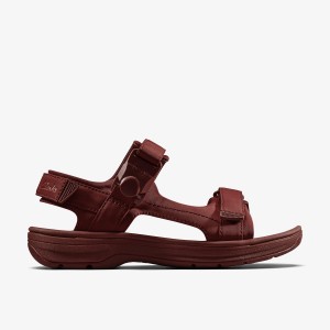 Clarks Martine Rose Mens Sandal 2 Oxblood Textile Sandalen Heren Bordeaux | 6534021-SY