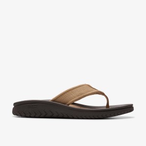 Clarks Wesley Belt Desert Sandalen Heren Desert | 5380129-ML